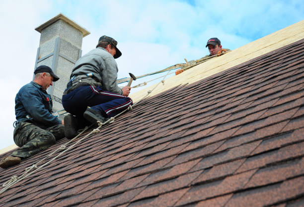 Professional Roofing Contractor in Toluca, IL